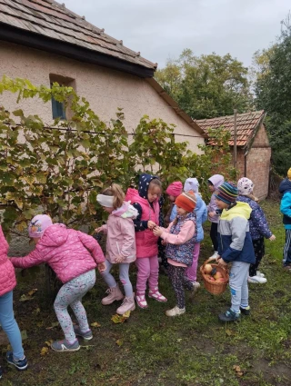  „Jó gyakorlat” – a környező világ tevékeny megismerése óvodánk nagycsoportjában galéria kép 2 