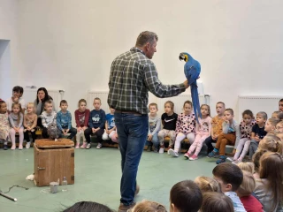  Madársuli galéria kép 2 