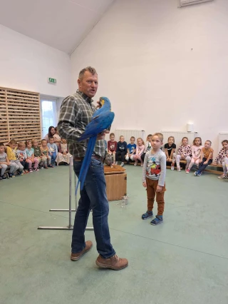  Madársuli galéria kép 2 