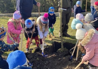  Nemzeti Faültetés Napja 2026 galéria kép 5 