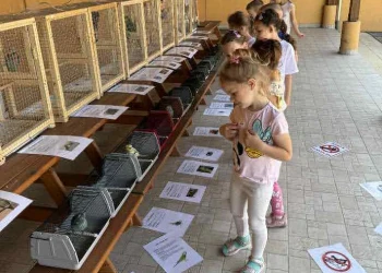 Egyéni utak, közös alapok - Bükkábrányi Napsugár Óvoda